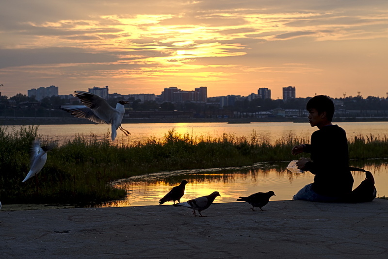 Sonnenuntergang in Irkutsk Möwen Mann füttert, Sibirien transsibirische Eisenbahn