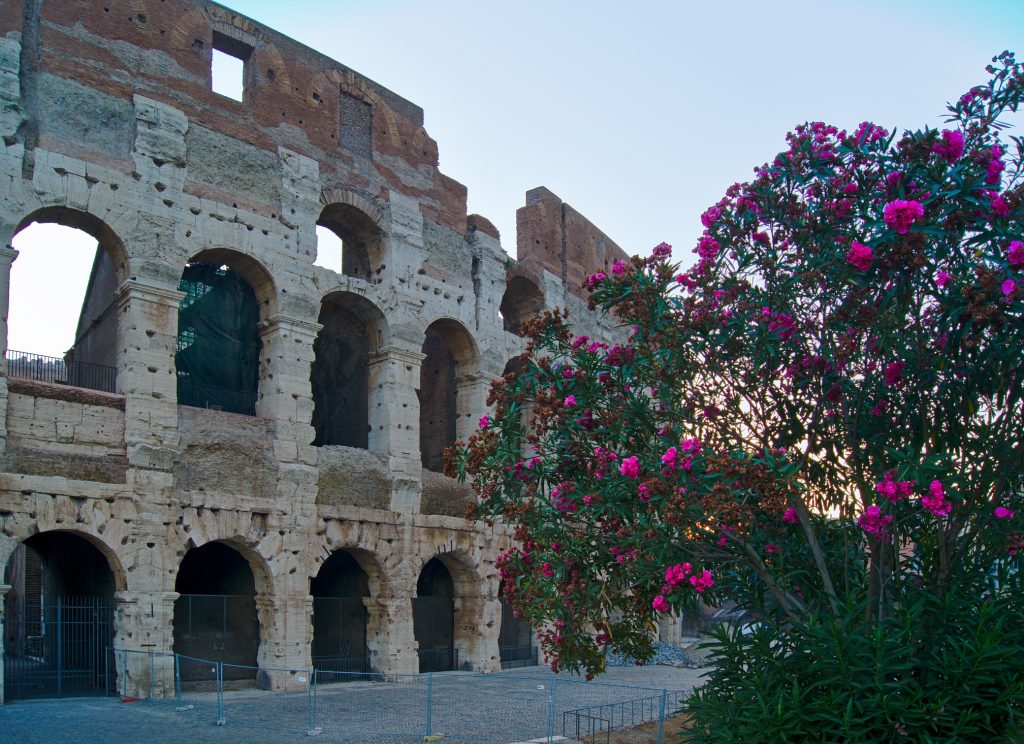 Kolosseum Rom Verbote in Rom