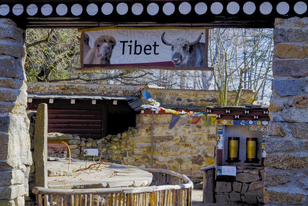 Tibet Dorf Naturschutztierpark Görlitz mit Kindern