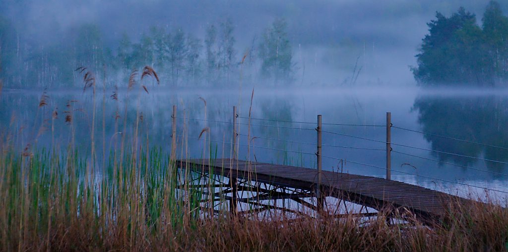 Bootsteg Nebel See Pestkownica Polen