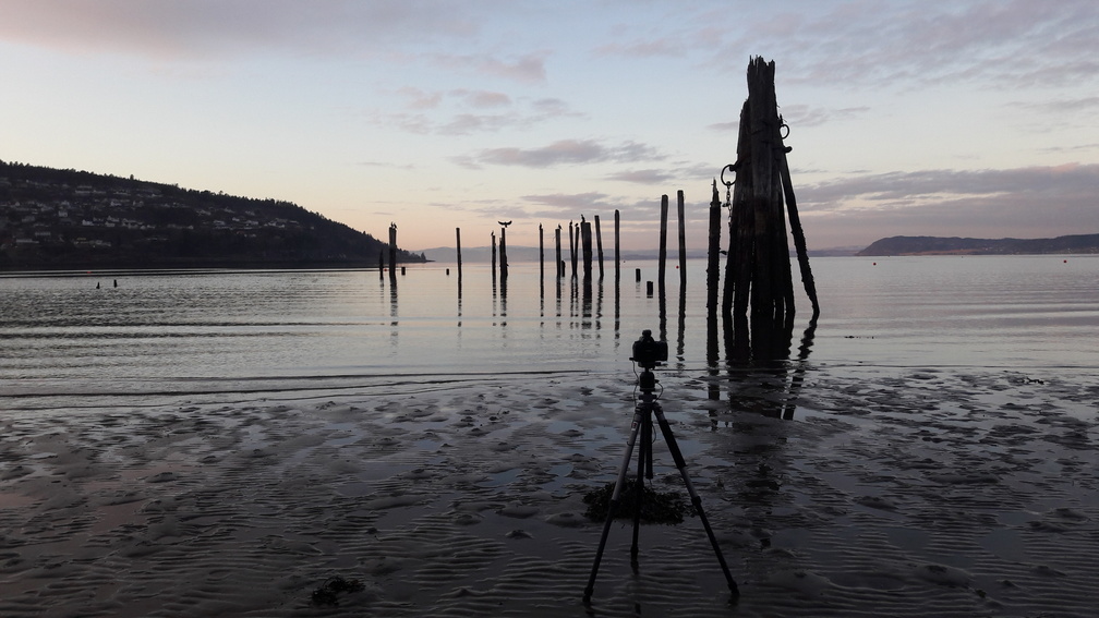 Kamera mit Stativ vor norwegischer Fjordlandschaft