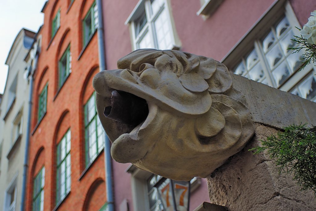 LöwenkopfRegenrinne Gdansk