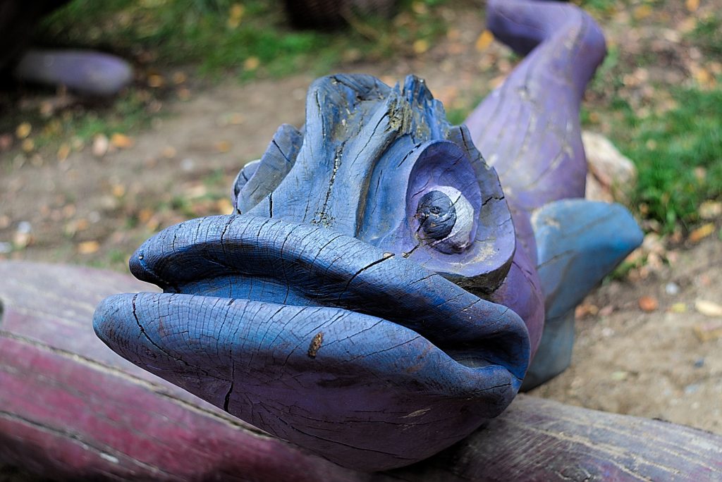 Fisch geheime Welt von Turisede