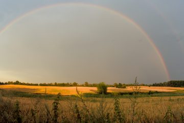 Regenbogen,Blick aus der Freiluftdusch,Uckermark,LiesjeTrecking