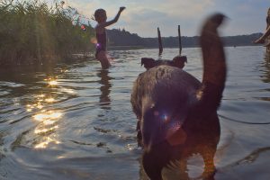 Stiernsee Uckermark , Kinder und Hund baden