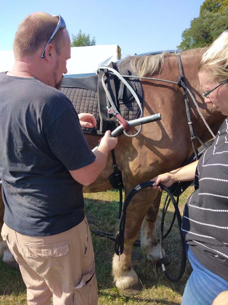 Planwagen, Pferd anspannen, Mann beim einspannen