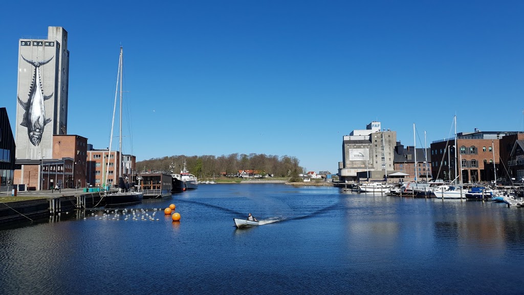 Friheden til at bruge Odense