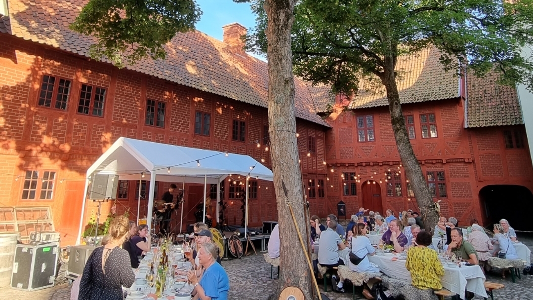 Åbningsfest med gratis adgang hos Museum Odense