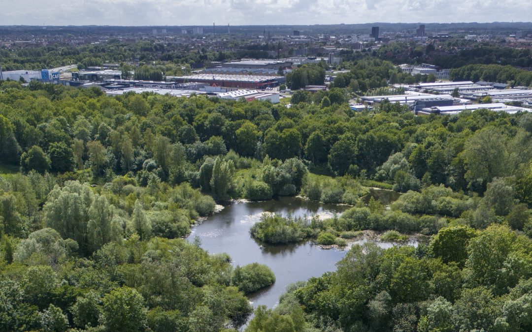 Vollsmose viser vejen: Naturen er drivkraften
