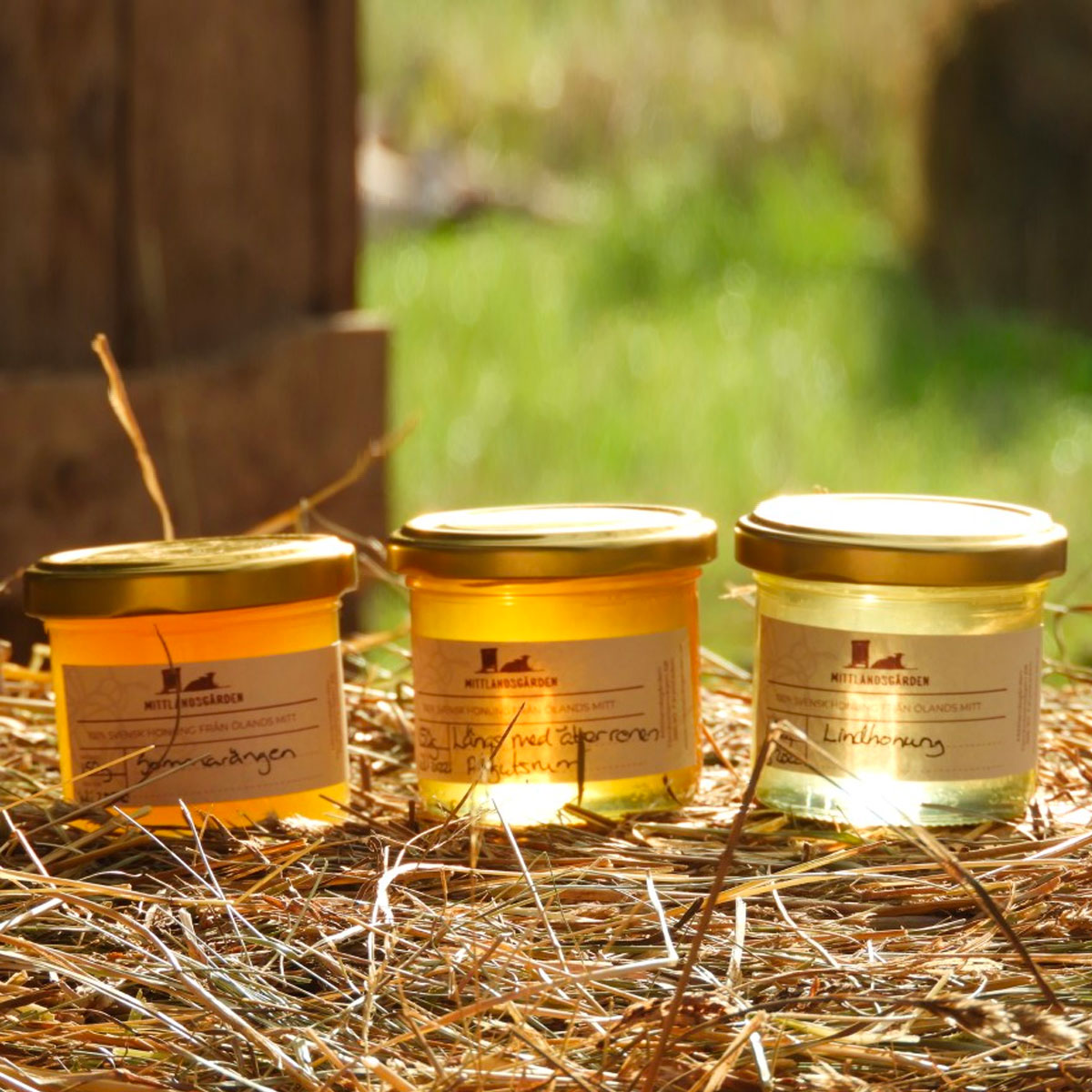 Vår unika guldglimrande honung med smak av sommar på Öland.