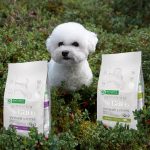 NATURES PROTECTION Superior Care White Dogs Grain Free White Fish Junior Small and Mini Breeds 17 kg - Bild 7