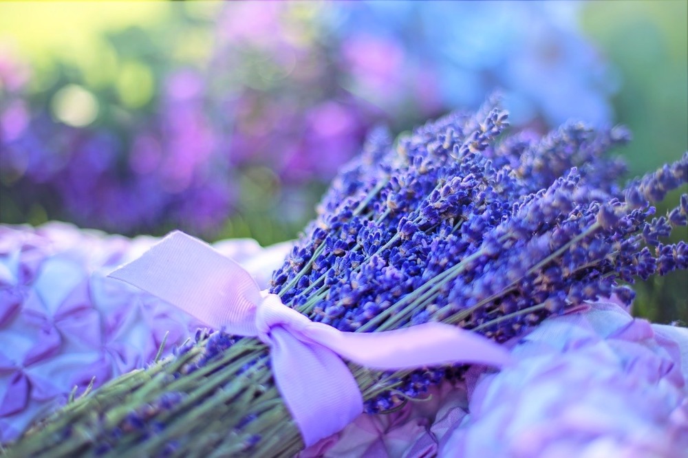 lavanda vapores regla-2