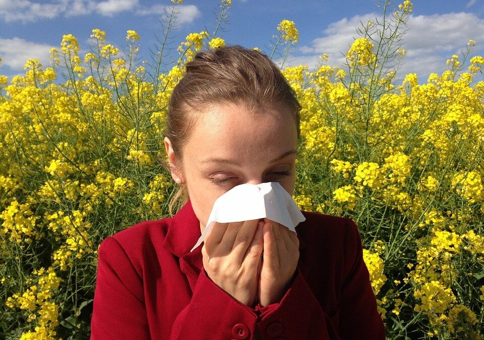 época de alergias