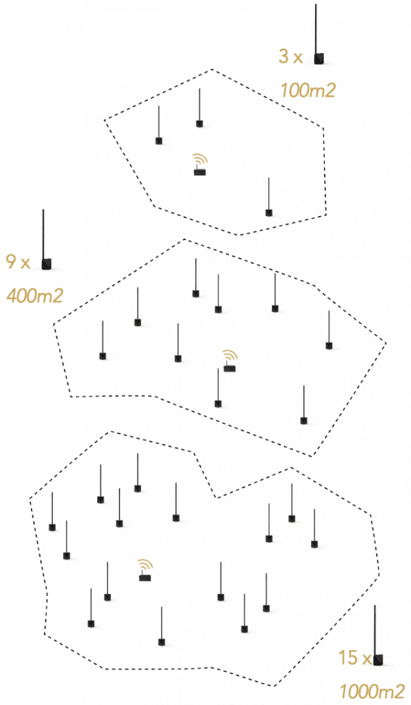 MUZA - Image 2
