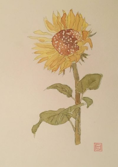 Print of Artwork 'Sunflower'