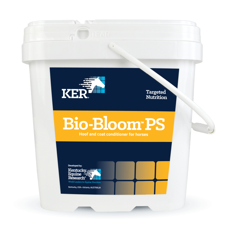Bio BloomPS Medium 800x800 1