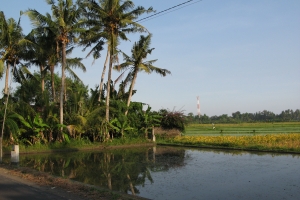 Bali2007_0039