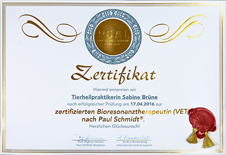 Brüne_Zertifikat