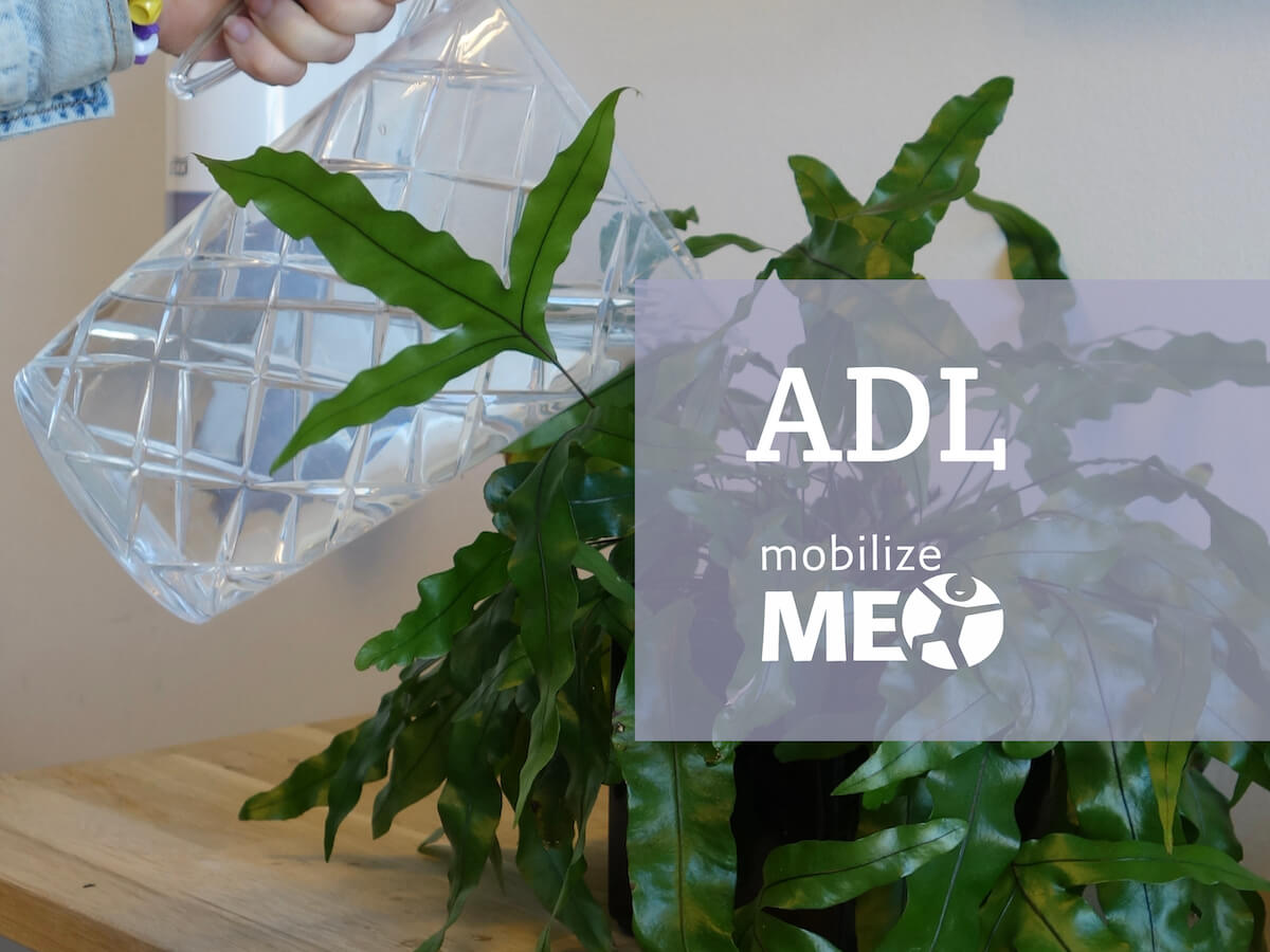 Tænk ADL ind i PlaNet og LiMo