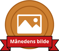 Månedens bilde - - Nivå 1