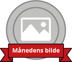 Månedens bilde