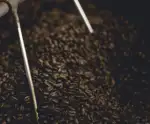 Ethiopië Limu * Specialty coffee - Afbeelding 6