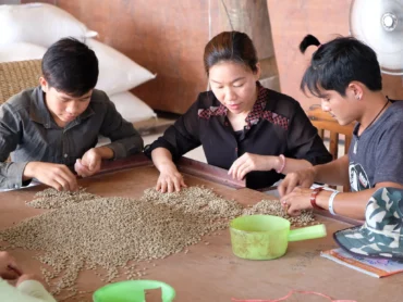 Thailand Beanspire * Specialty coffee - Afbeelding 7