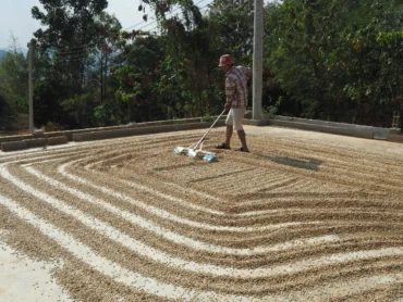 Thailand Beanspire * Specialty coffee - Afbeelding 3