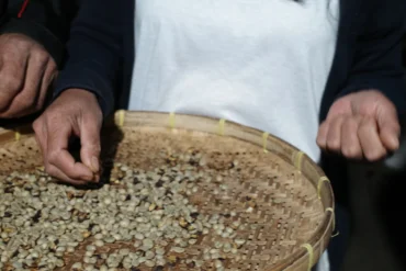 Thailand Beanspire * Specialty coffee - Afbeelding 5