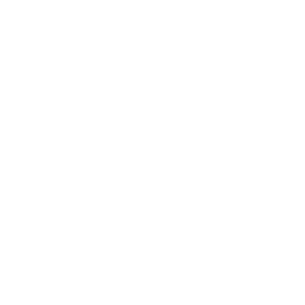 Toggle Icon