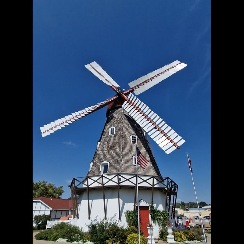 Elk Horn Danish windmill