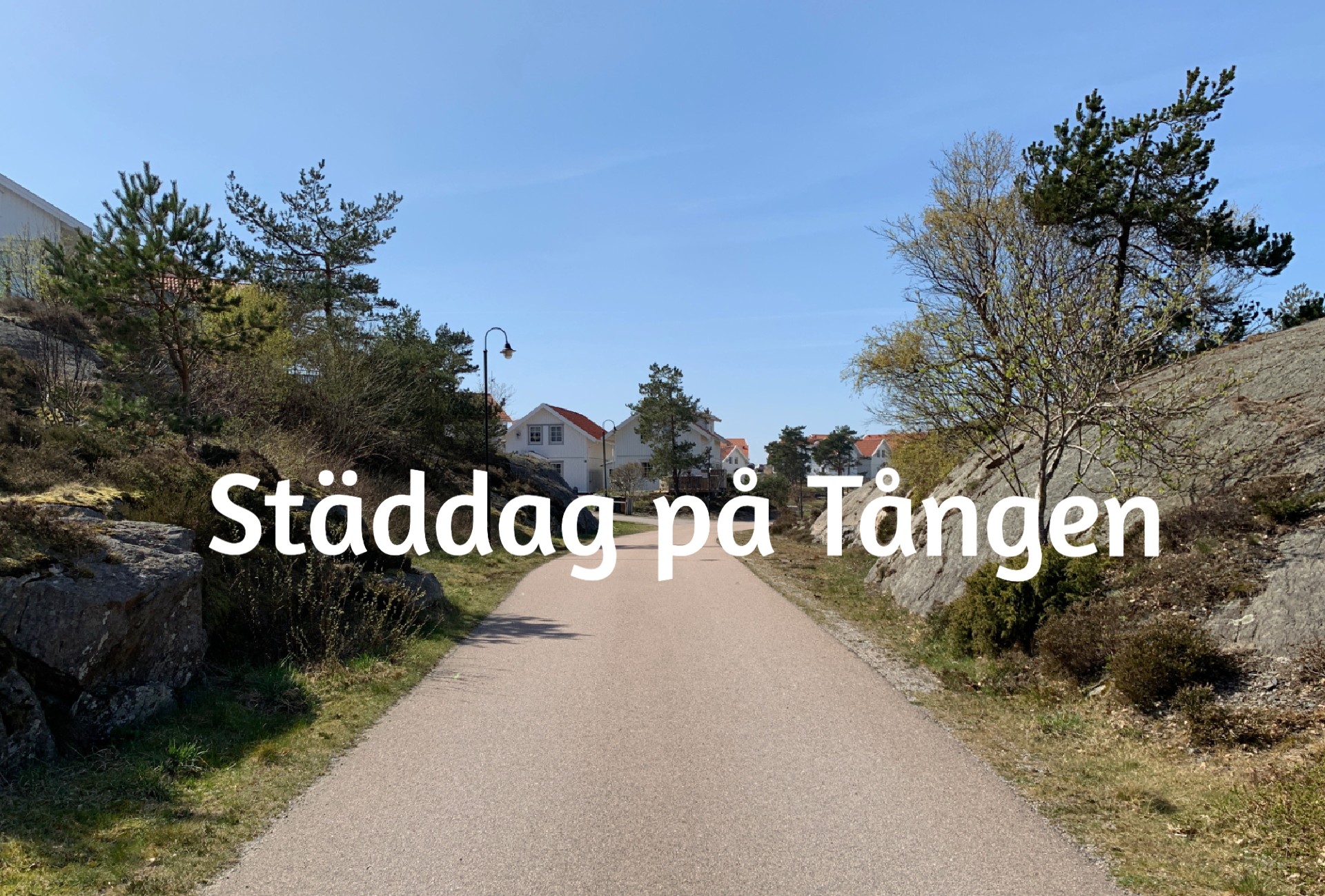 Städdag på Tången