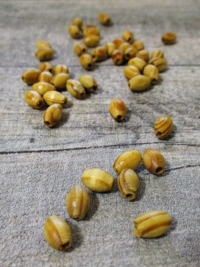 Holzperlen olivenförmig natur gemasert 9mm Durchm. 5mm - MONDSPINNE8