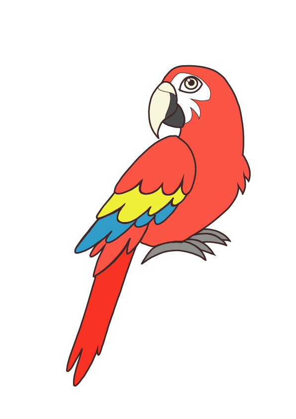 red parrot