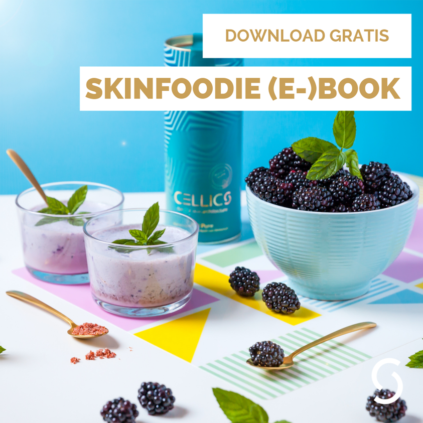 Cellics Skinfoodie E-book - Mooii By Angelique