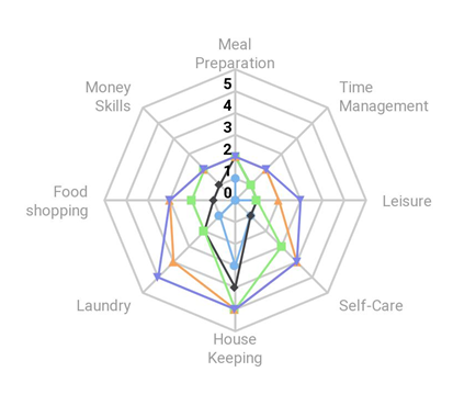 The WHEEL OF INDEPENDENCE Framework - example of visual to show progress each year