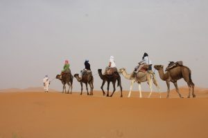 camel trek