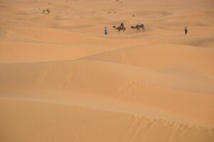 camel tours