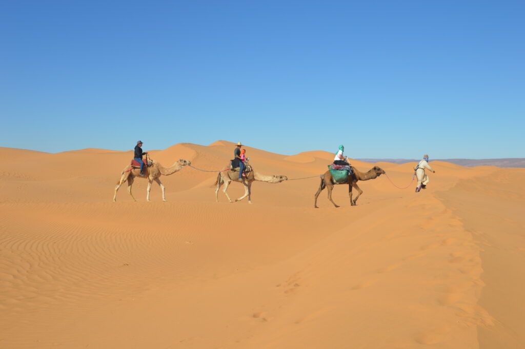 camel trip