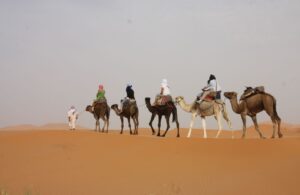 Morocco Camel Trekking