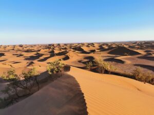 desert Sahara tours