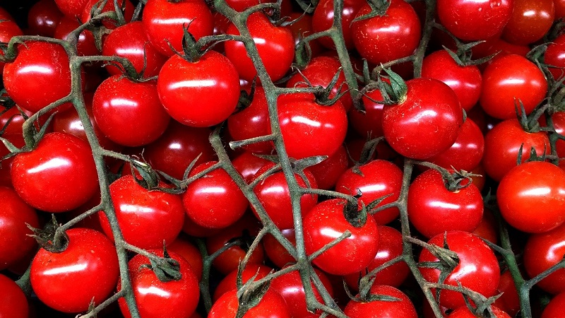 Un pays de l’UE en a marre des tomates du Maroc