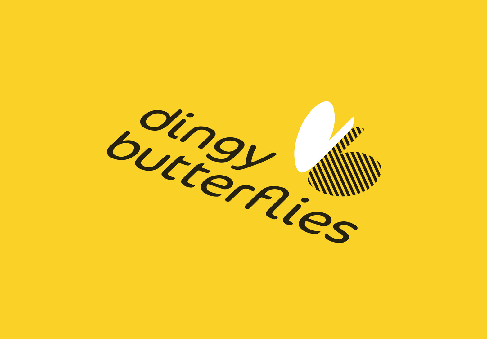 Dingy Butterflies