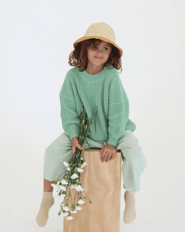 the chunky pullover in meadow by the brand Summer and Storm