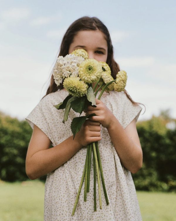 the Field Dress in Forget Me Not Cotton by the brand Daughter, curated by Morsel Store