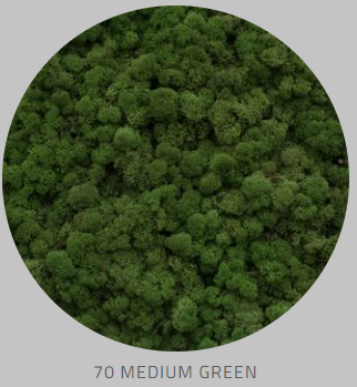 Rensdyrmos, Medium Green-image