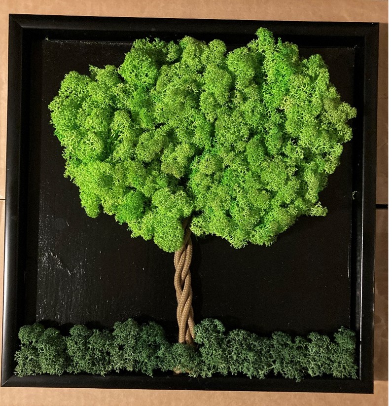 Kit træ i firkantet sort ramme - Kit består af: Sort ramme 33x33cm, reb til træstamme, rensdyrmos i 2 farver: Gras green light og gras green.-image