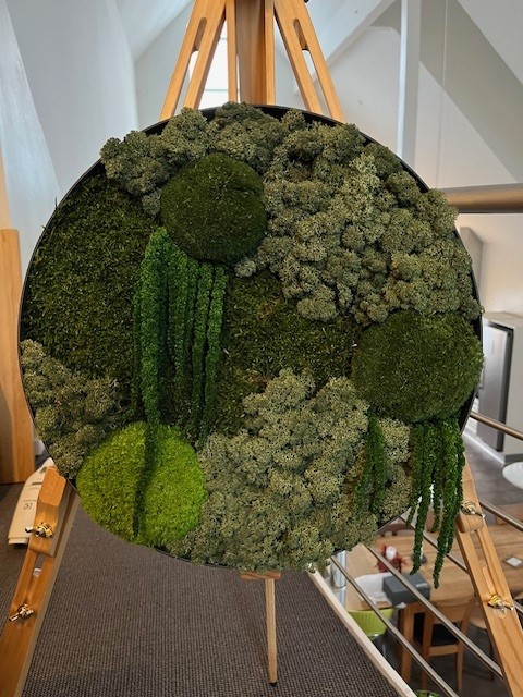 Kit til billed i grønne nyancer - KIT'et består af en sort ramme i Ø40, fladmos, ball mos, rensdyr samt rævehaler alt sammen i flotte grønne farver-image
