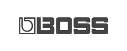 boss boss