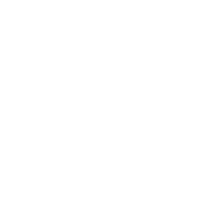 Moto Adonis Logo